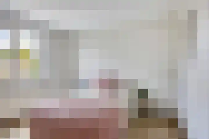Rietveld 19 Berlicum thumbnail 18
