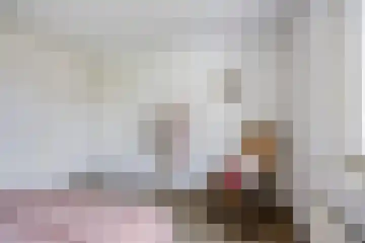 Rietveld 19 Berlicum thumbnail 19