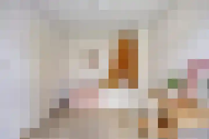Rietveld 19 Berlicum thumbnail 24