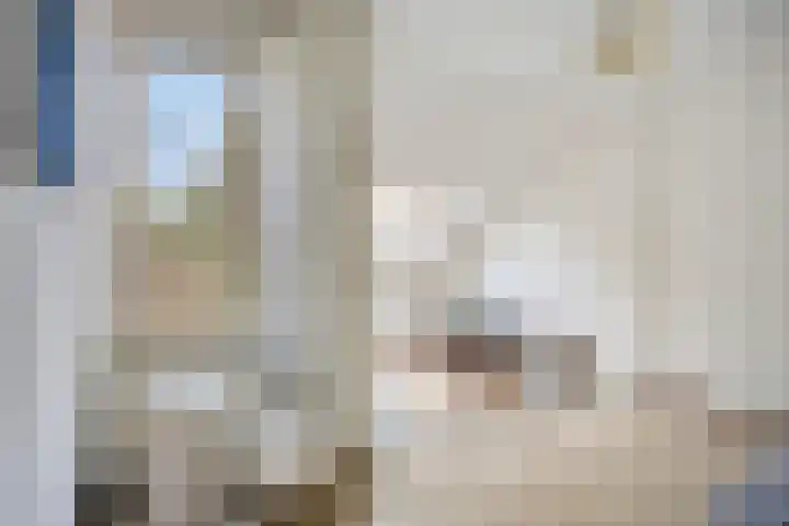 Rietveld 19 Berlicum thumbnail 25