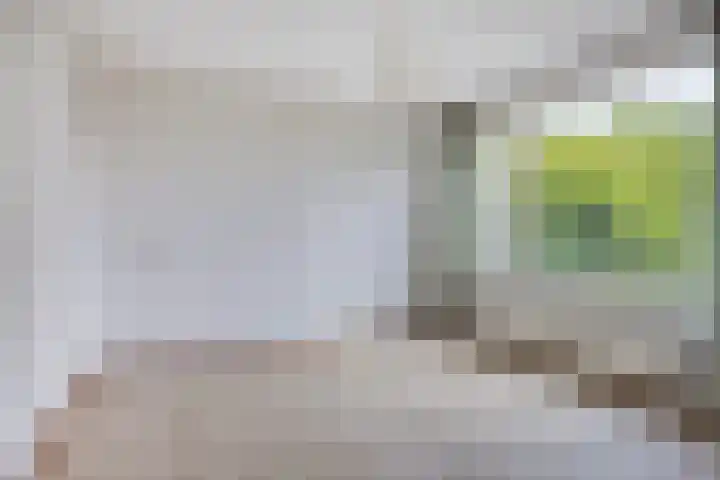 Rietveld 19 Berlicum thumbnail 27