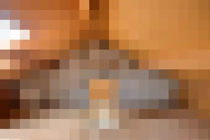 Rietveld 19 Berlicum thumbnail 29