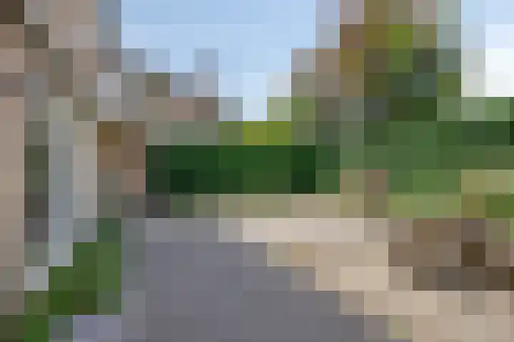 Rietveld 19 Berlicum thumbnail 33