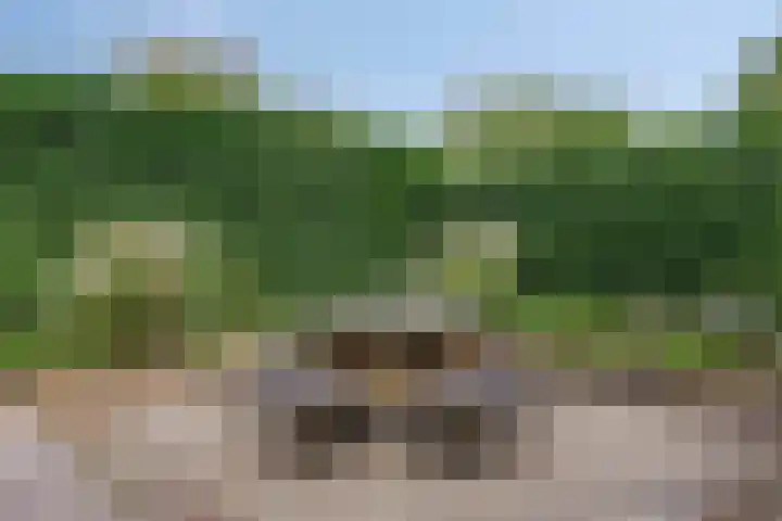 Rietveld 19 Berlicum thumbnail 35