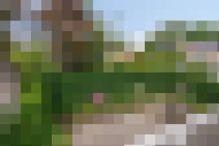 Rietveld 19 Berlicum thumbnail 40
