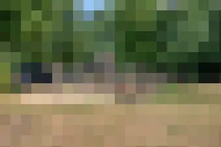 Rietveld 19 Berlicum thumbnail 44