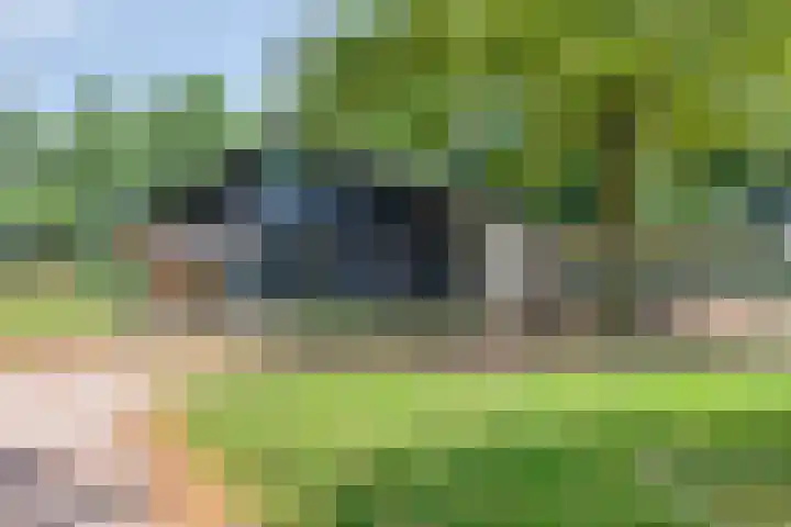 Rietveld 19 Berlicum thumbnail 45