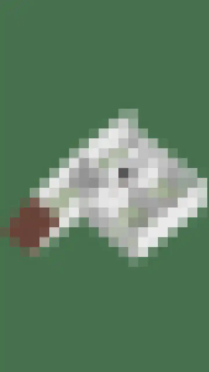 Rietveld 19 Berlicum thumbnail 51