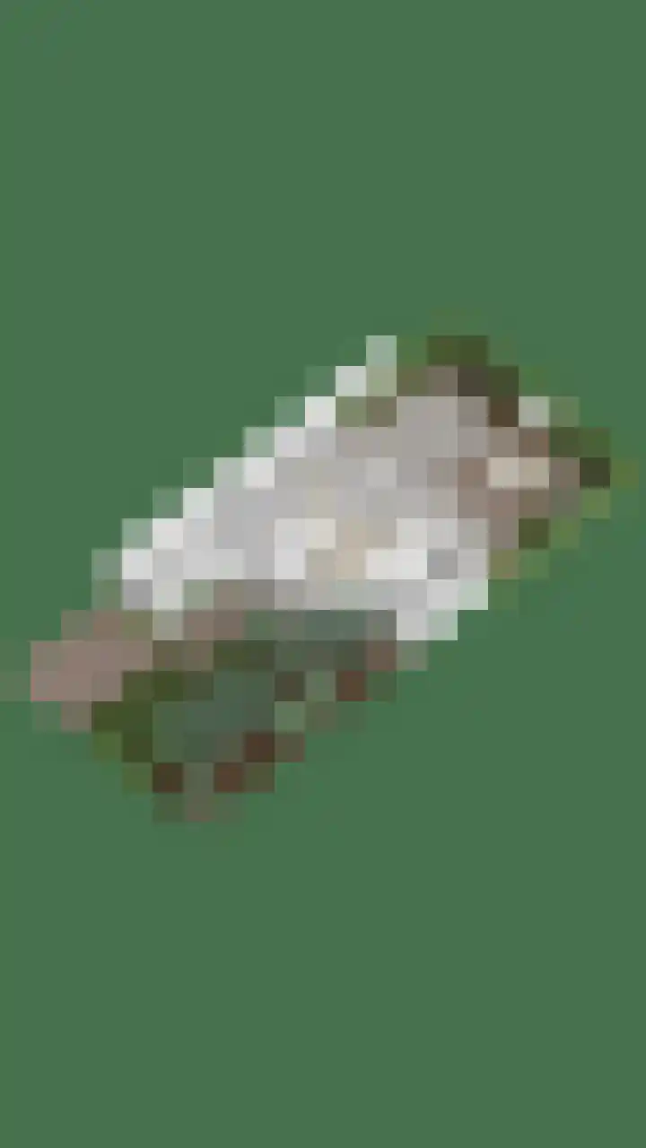 Rietveld 19 Berlicum thumbnail 53