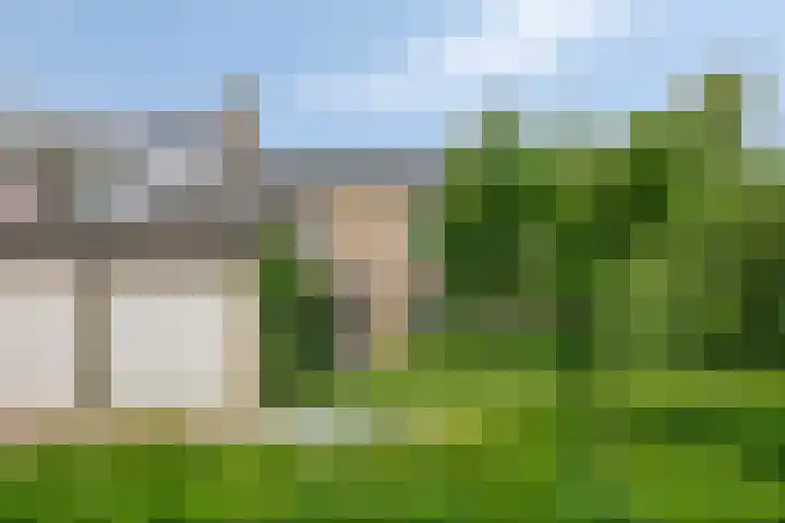 Rietveld 19 Berlicum thumbnail 54