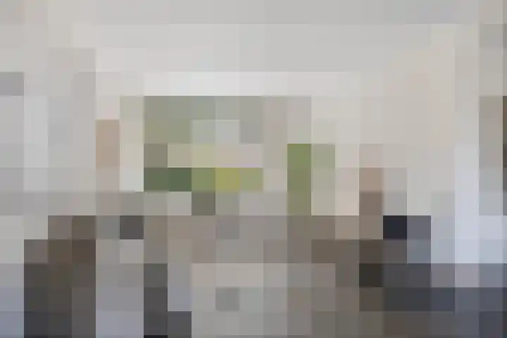 Rietveld 19 Berlicum thumbnail 6