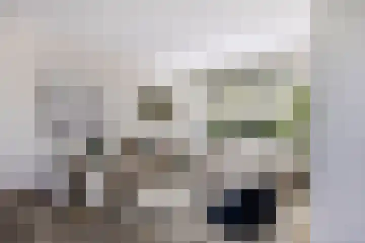 Rietveld 19 Berlicum thumbnail 8