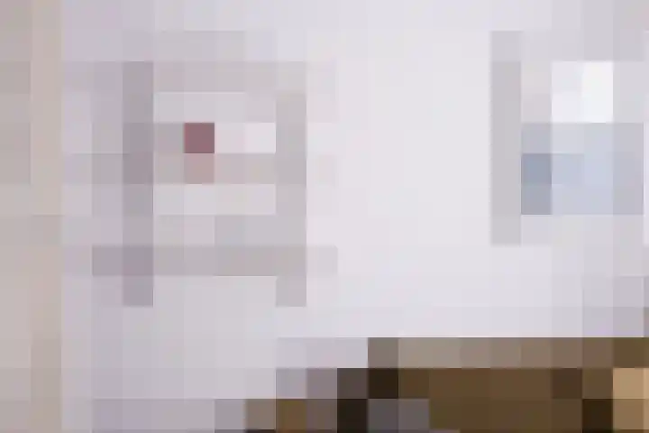 Rietveld 200 Delft thumbnail 13