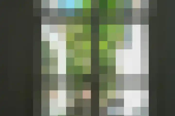 Rietveld 200 Delft thumbnail 14