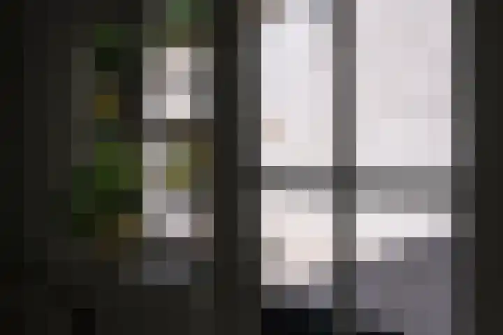 Rietveld 200 Delft thumbnail 17
