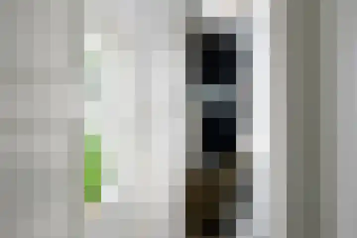 Rietveld 200 Delft thumbnail 18
