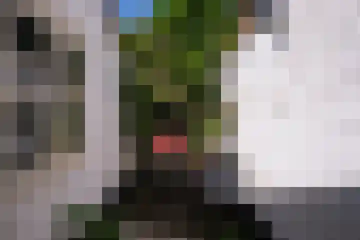 Rietveld 200 Delft thumbnail 22