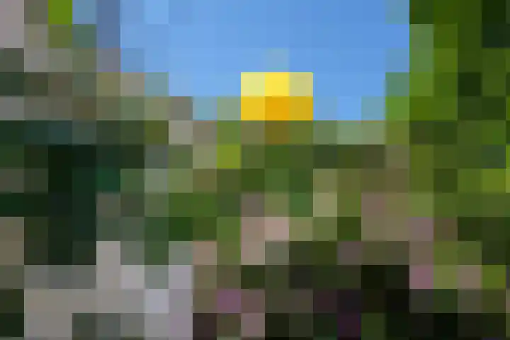 Rietveld 200 Delft thumbnail 25