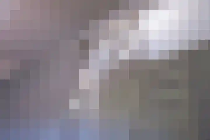 Rietveld 200 Delft thumbnail 34