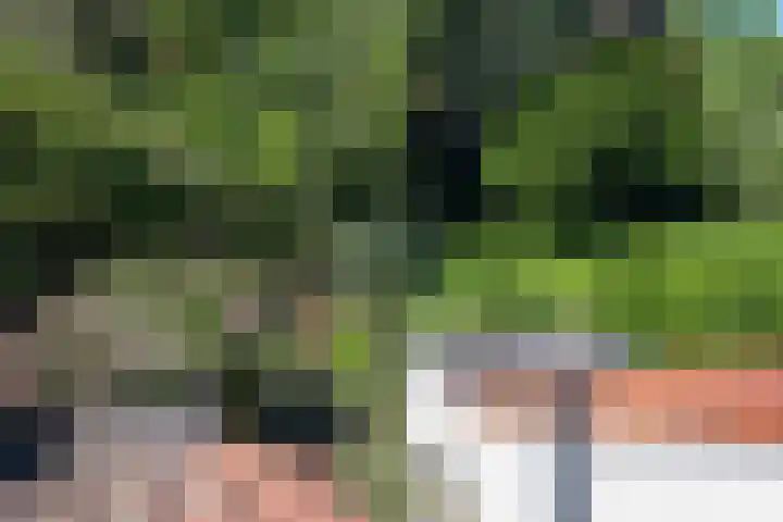 Rietveld 200 Delft thumbnail 35