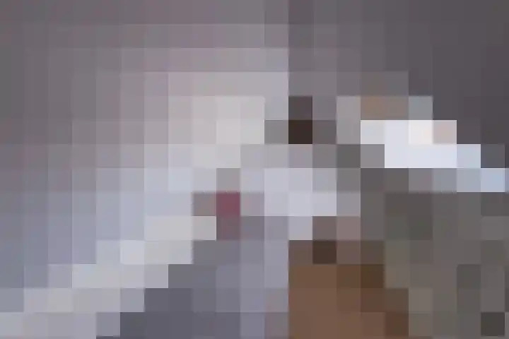 Rietveld 200 Delft thumbnail 39