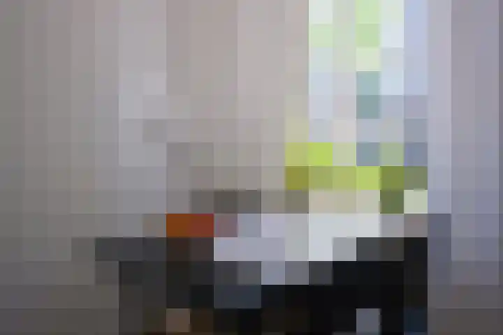 Rietveld 200 Delft thumbnail 7