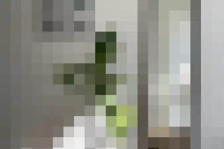 Rietveld 200 Delft thumbnail 8