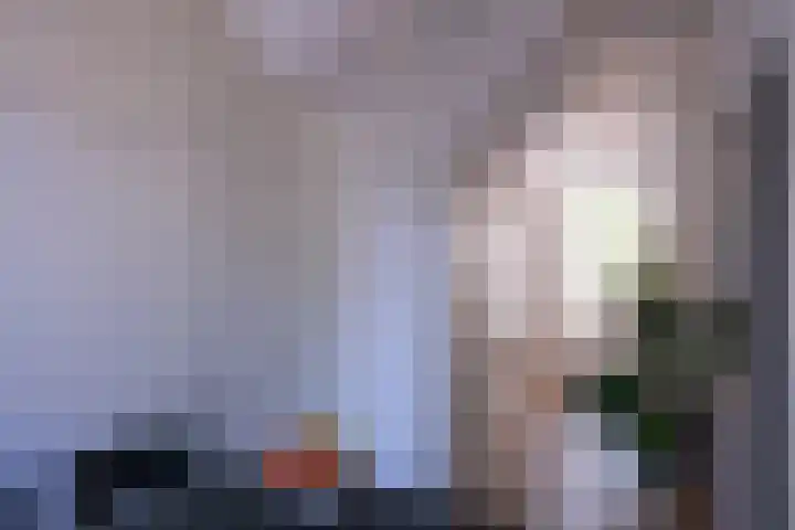 Rietveld 200 Delft thumbnail 9