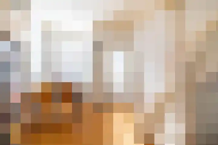 Rietveld 202 Delft thumbnail 14