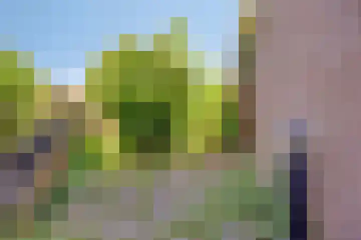 Rietveld 202 Delft thumbnail 22