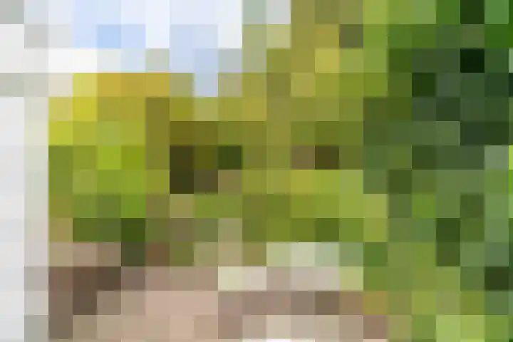 Rietveld 202 Delft thumbnail 22