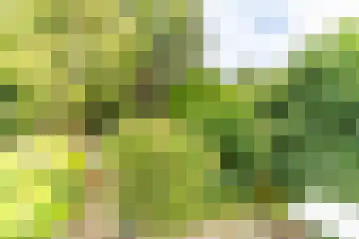Rietveld 202 Delft thumbnail 23