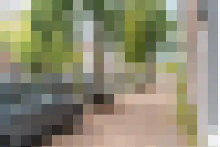 Rietveld 202 Delft thumbnail 37