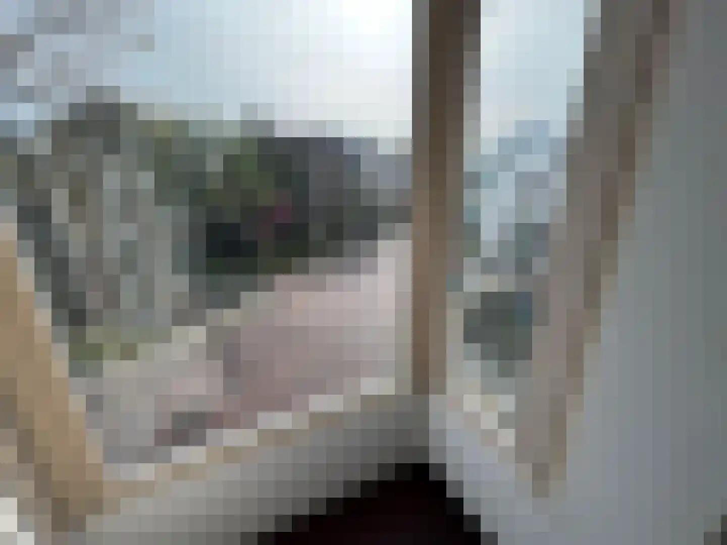 Rietveld 230 Delft thumbnail 10
