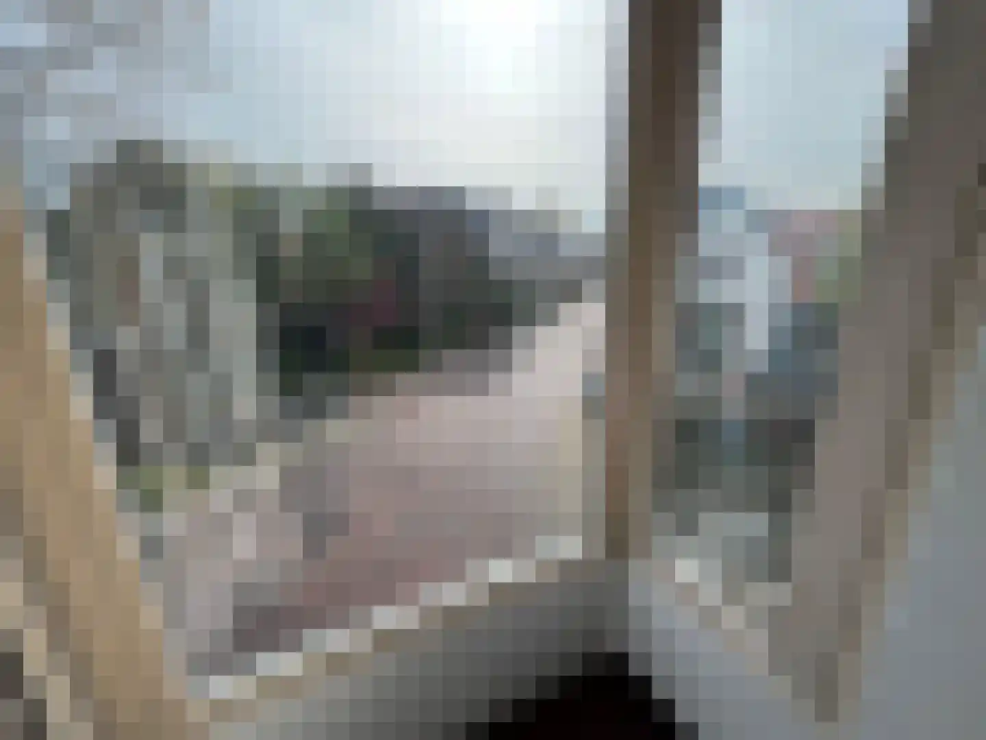 Rietveld 230 Delft thumbnail 12