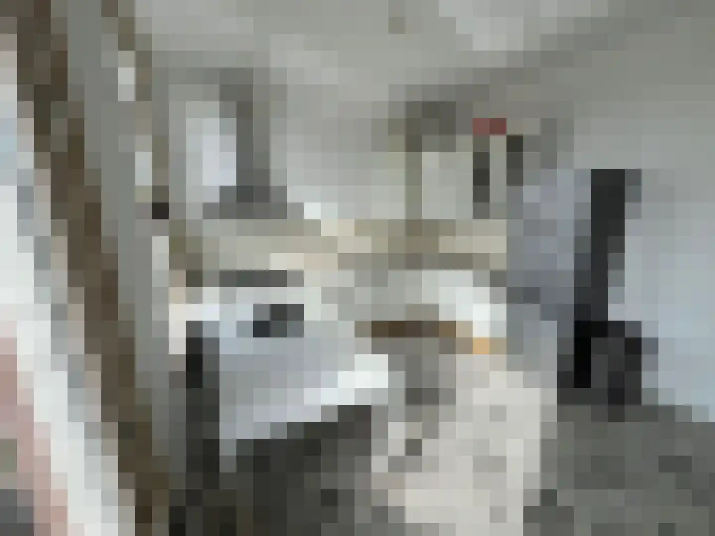 Rietveld 230 Delft thumbnail 22