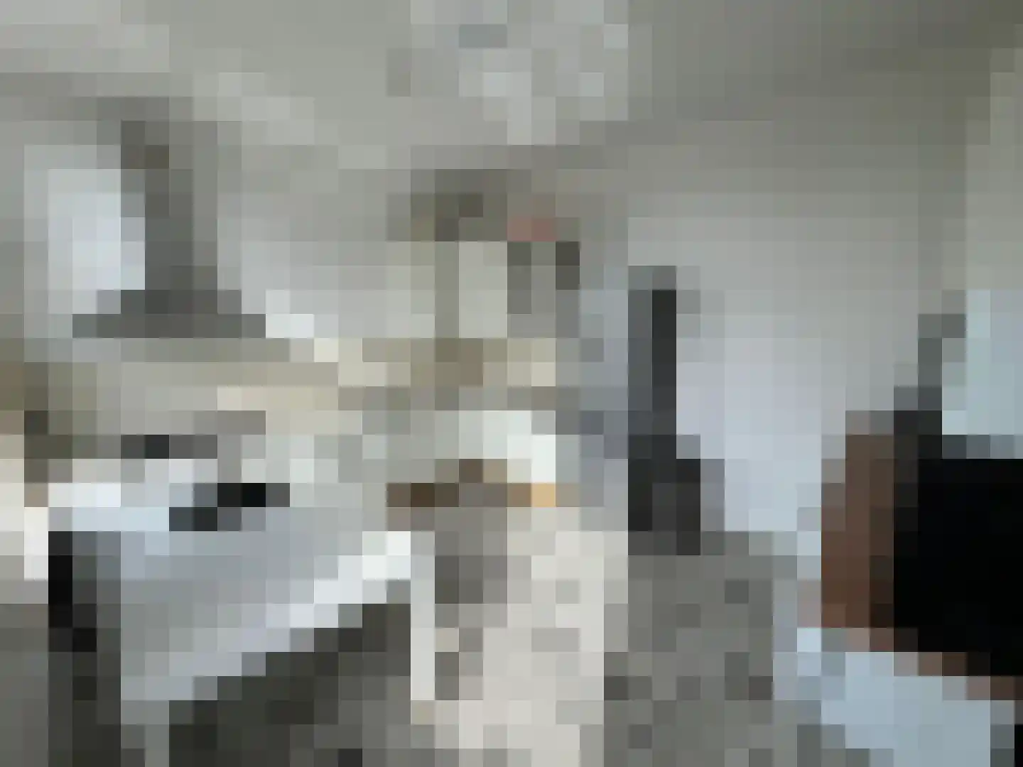 Rietveld 230 Delft thumbnail 24