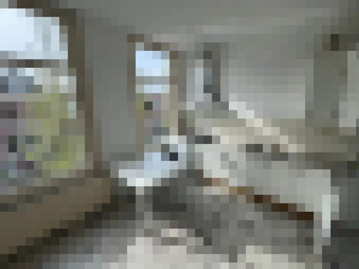 Rietveld 230 Delft thumbnail 25