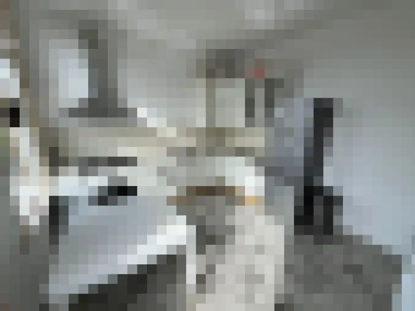 Rietveld 230 Delft thumbnail 26