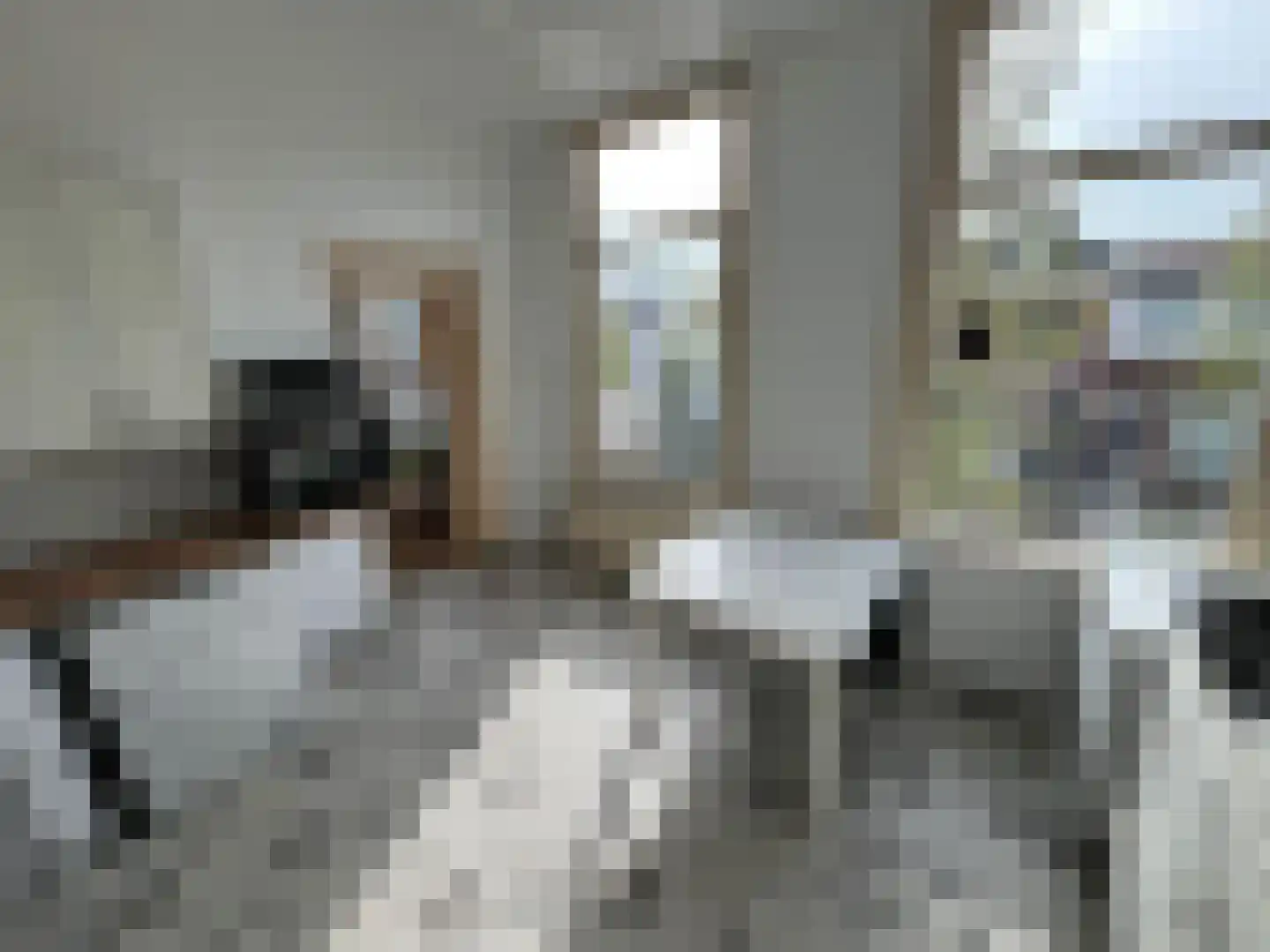 Rietveld 230 Delft thumbnail 27