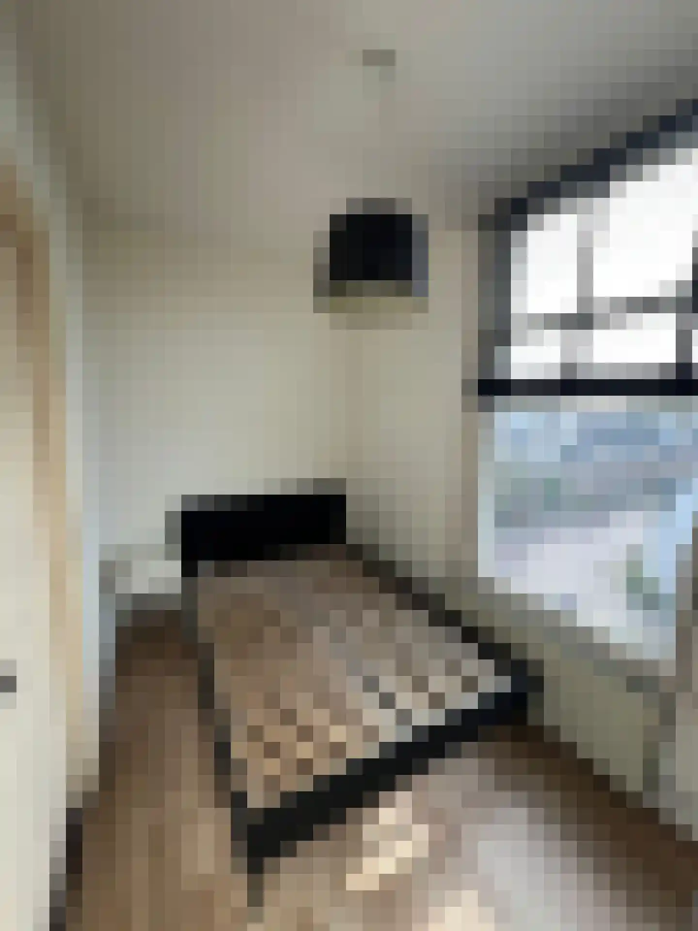 Rietveld 230 Delft thumbnail 35
