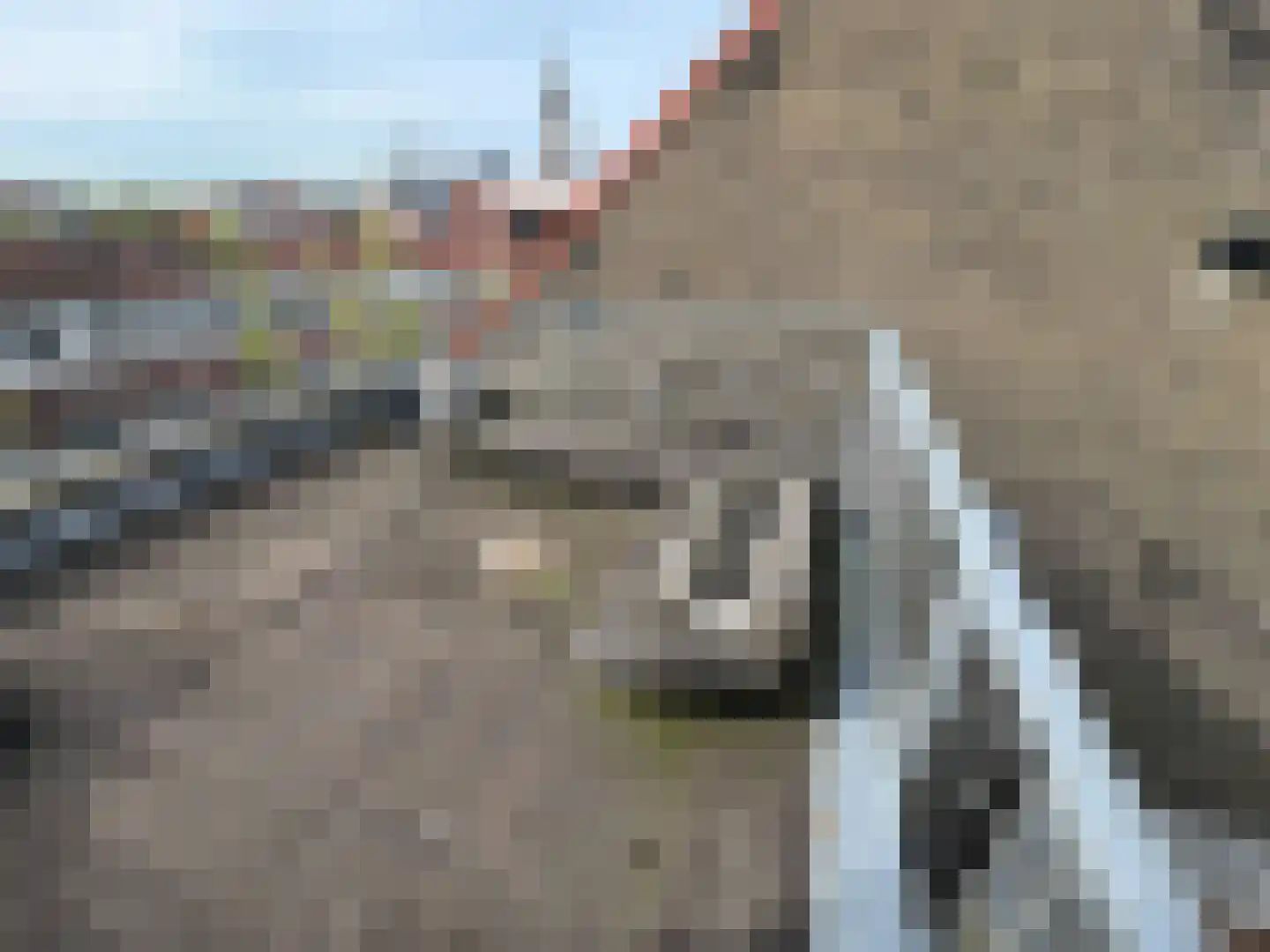 Rietveld 230 Delft thumbnail 48