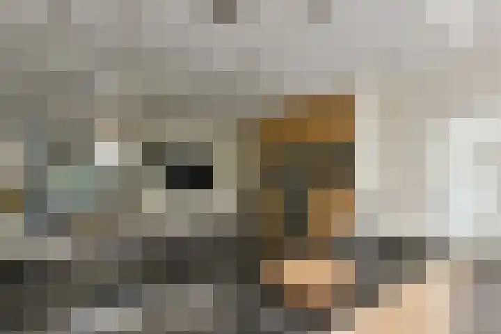 Rietveld 38 Mijdrecht thumbnail 10