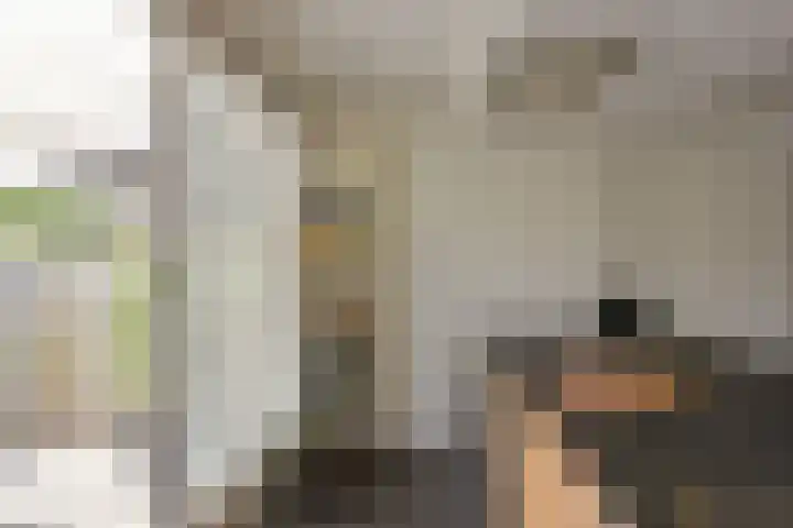 Rietveld 38 Mijdrecht thumbnail 13