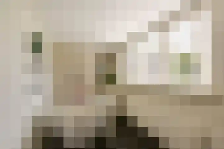 Rietveld 38 Mijdrecht thumbnail 17