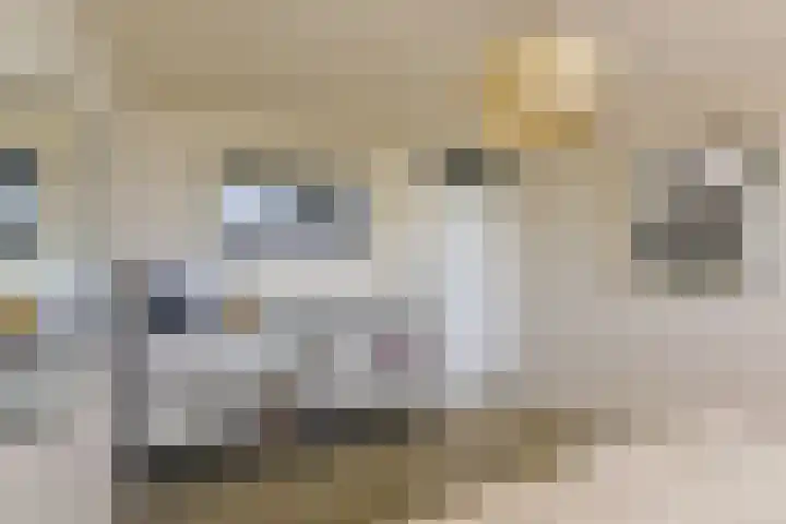 Rietveld 38 Mijdrecht thumbnail 20