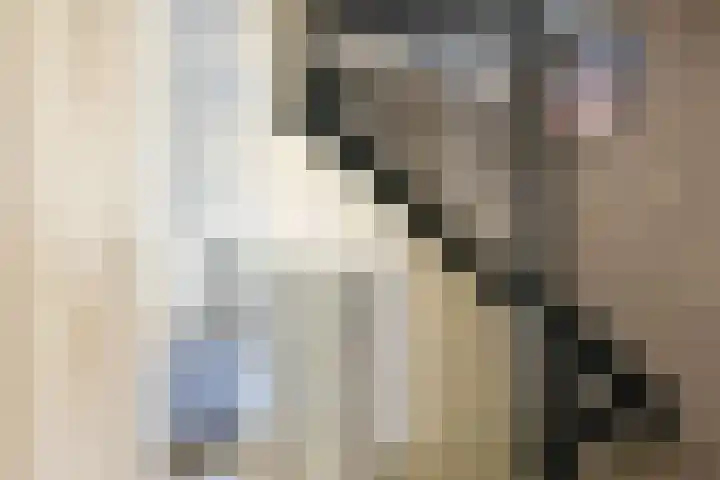 Rietveld 38 Mijdrecht thumbnail 25