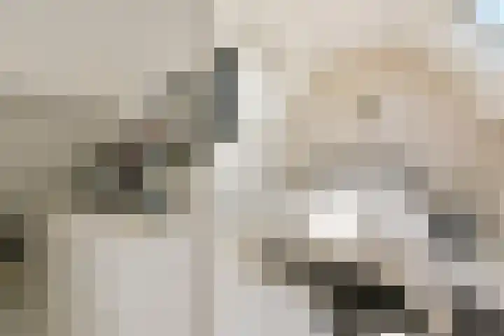Rietveld 38 Mijdrecht thumbnail 27