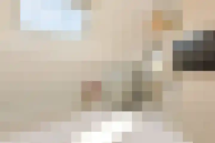 Rietveld 38 Mijdrecht thumbnail 28