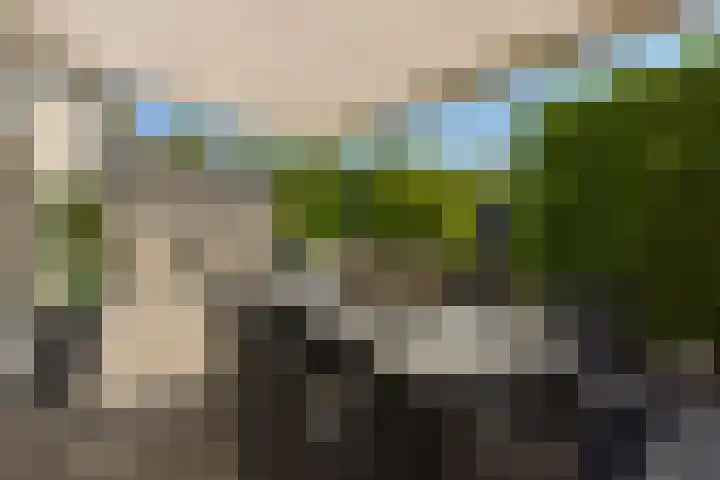 Rietveld 38 Mijdrecht thumbnail 30